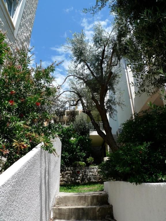 Апартаменты Apartments Maslina Свети-Стефан